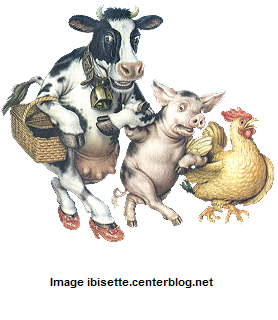 vache-cocon-et-poule