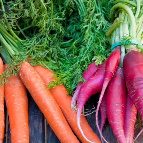 Lutter contre le gaspillage alimentaire en cuisinant les fanes de légumes