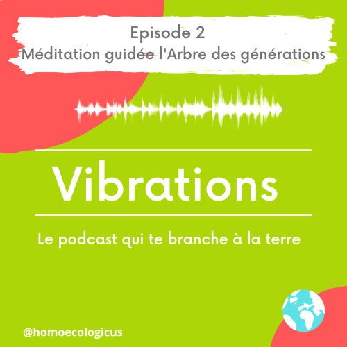 Vibrations - le podcast qui te branche à la terre