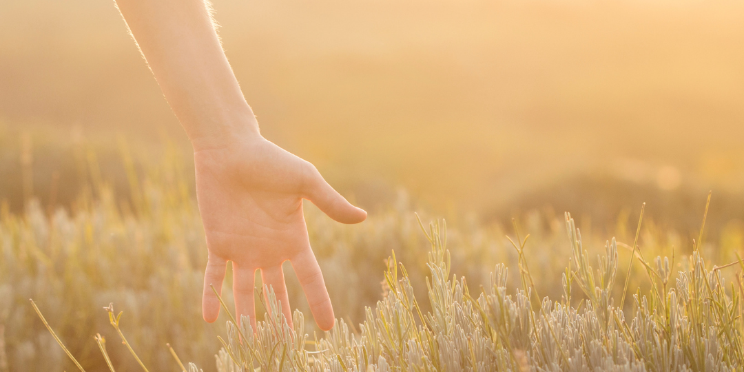 L'écologie intérieure, c'est la connaissance de soi, l’harmonisation de nos émotions, le respect de notre nature intérieure. C’est aussi rayonner d’une lumière nouvelle, inspirante et motivante pour notre entourage.