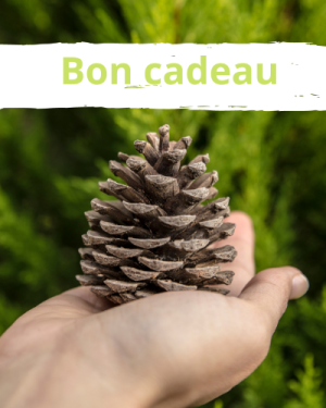 Bon cadeau accompagnement individuel
