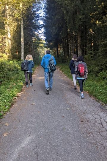 Une marche pour entrer en connexion avec ses 5 sens et la forêt qui nous enveloppe