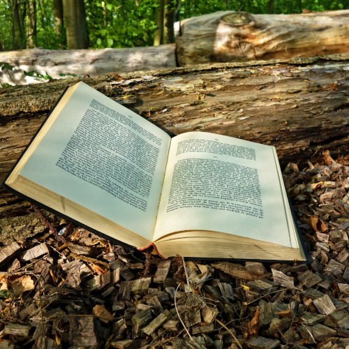 Une sélection de 2 livres pour l'automne