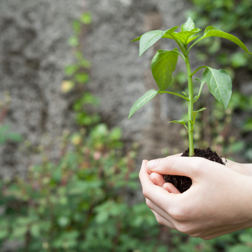 qu'est-ce que la nature représente pour soi en 7 questions