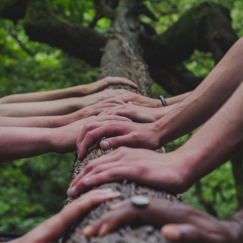 Le Travail qui Relie est un processus puissant pour se connecter en profondeur au vivant.