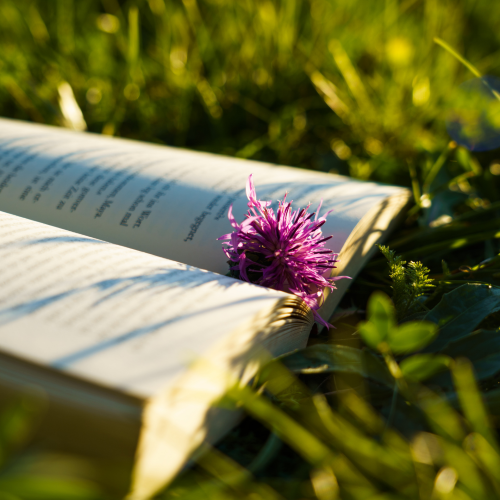 Une sélection de 3 livres passionnants sur la nature.