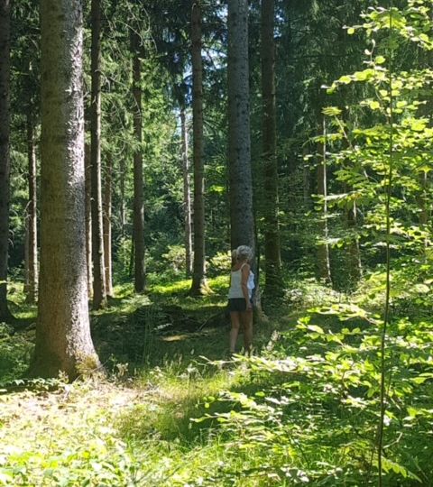 Burn-out : comment la forêt m'a soutenue