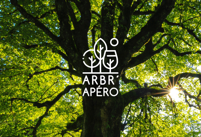 12 arbres, 12 mois, 12 rencontres avec ces êtres fascinants. L'Arbr'Apéro est un concept ludique et convivial pour découvrir la nature dans les parcs urbains lausannois.
