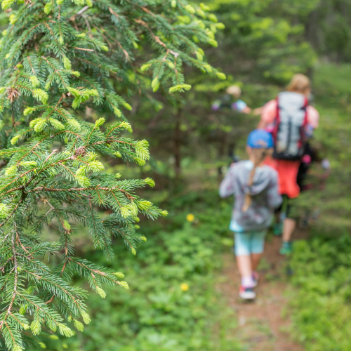 Un bain de forêt en famille est une expérience forte et pleine de surprises !