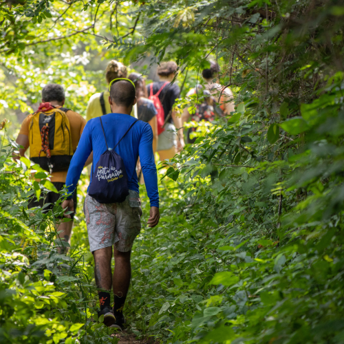 Mathieu Leveque, psychologue et Nathalie Guiffault, sylvothérapeute, proposent un accompagnement en forêt pour les personnes affectées par l'éco-anxiété.