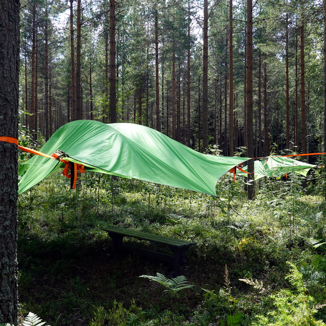 image-montrant-des-tentes-dans-les-arbres-pour-un-week-end-en-nature-par-nathalie-guiffault-homoecologicus-et-joachim-halgrain-lausanne