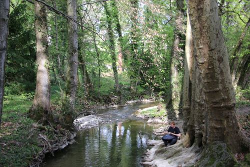 Ce bain de forêt musical est une parenthèse enchantée. Vous vivrez des pratiques de connexion à la nature, au son délicat et envoûtant du handpan.