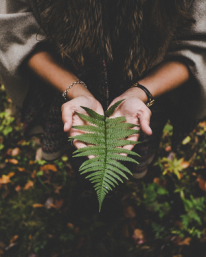 Initiation rituels en nature – 22, 28 et 29 mars 2026