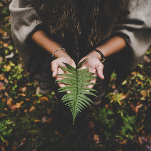 Image illustrant le stage de 3 jours d'initiation aux rituels en nature dans une forêt proche de Lausanne (Canton de Vaud).